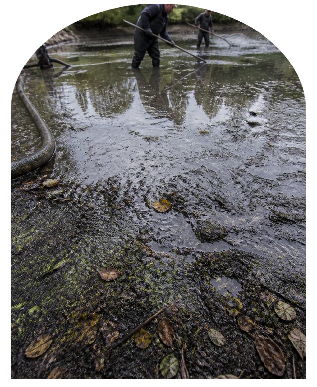 Очистка пруда в Пугачёве от ила мусора и водорослей с вывозом